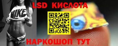 ГАЛЛЮЦИНОГЕННЫЕ ГРИБЫ Сланцы
