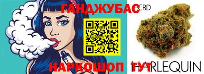 ГАЛЛЮЦИНОГЕННЫЕ ГРИБЫ Сланцы