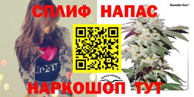 ГАЛЛЮЦИНОГЕННЫЕ ГРИБЫ Сланцы