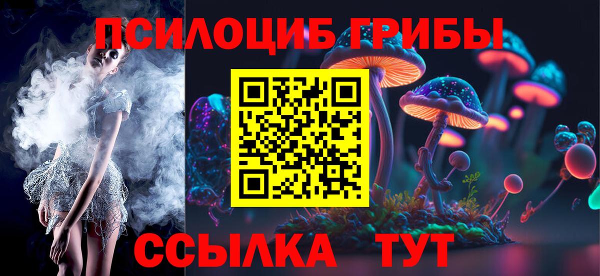 Октябрьский  Псилоцибиновые грибы Psilocybine cubensis  Вход с VPN  Галлюциногенные грибы Psilocybe 