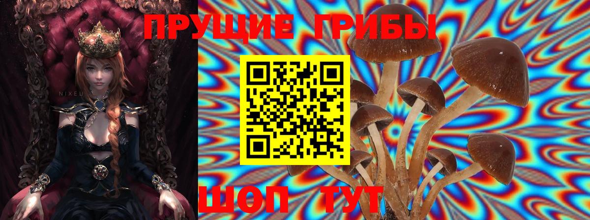 Галлюциногенные грибы мицелий Октябрьский